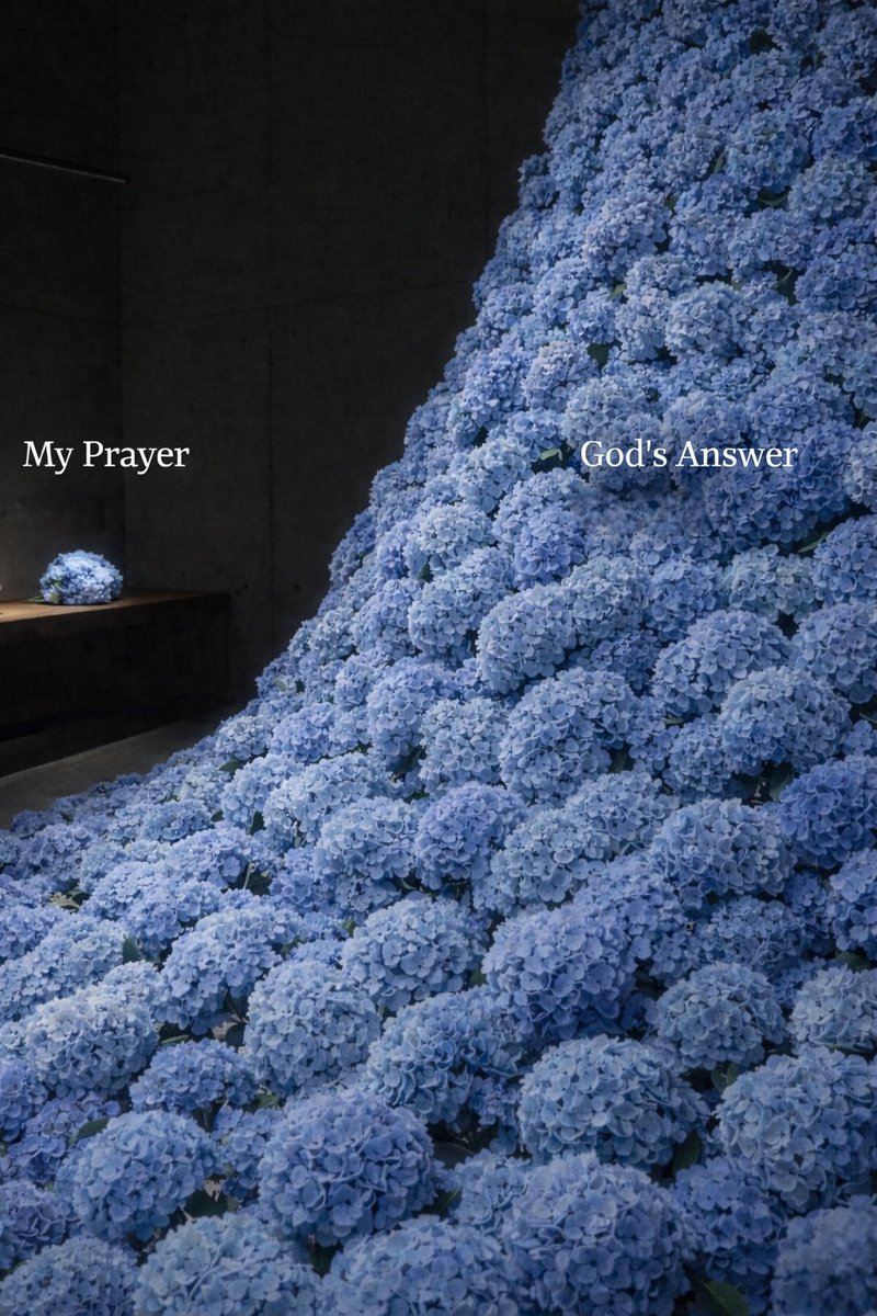 John_Matthew_T's tweet image. 