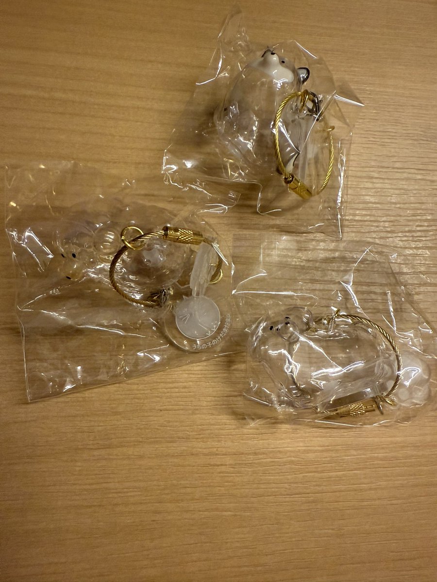 🐢⭐️♨️取引垢 tweet media