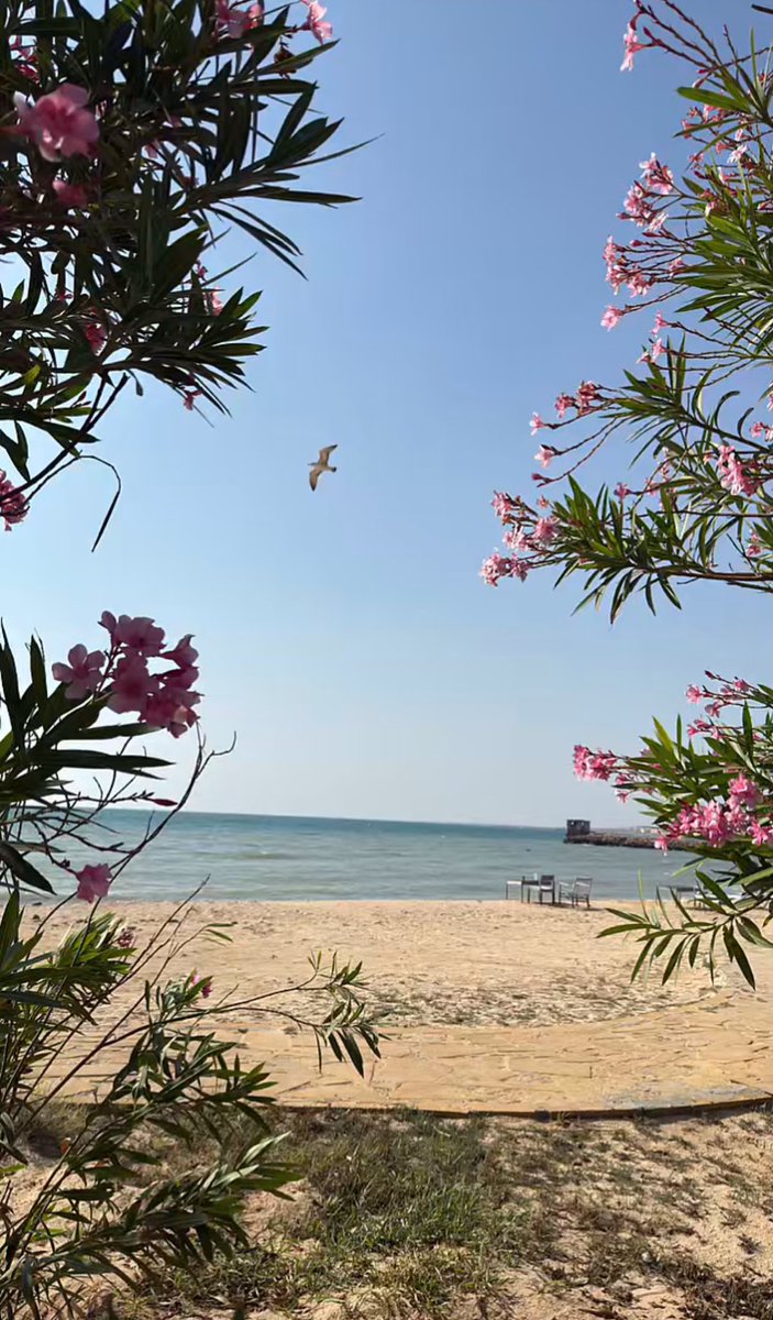 🩵💕 المكان الصح مع الشخص الصح