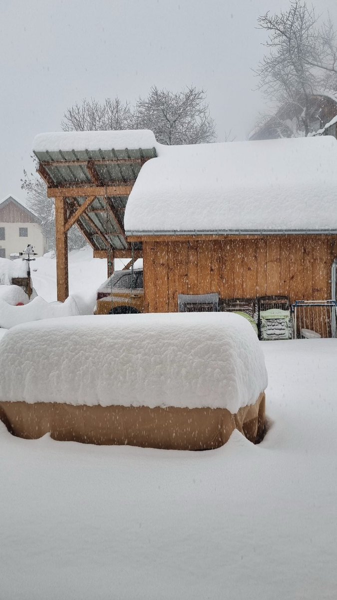 La Chartreuse retrouve son manteau blanc, comme ici à Saint Bernard du Touvet (950m).
En altitude, la nivôse <a href="/meteofrance/">Météo-France</a> de Saint-Hilaire (1750m) affiche +64cm de neige fraîche. 
L'épisode neigeux est toujours en cours.
