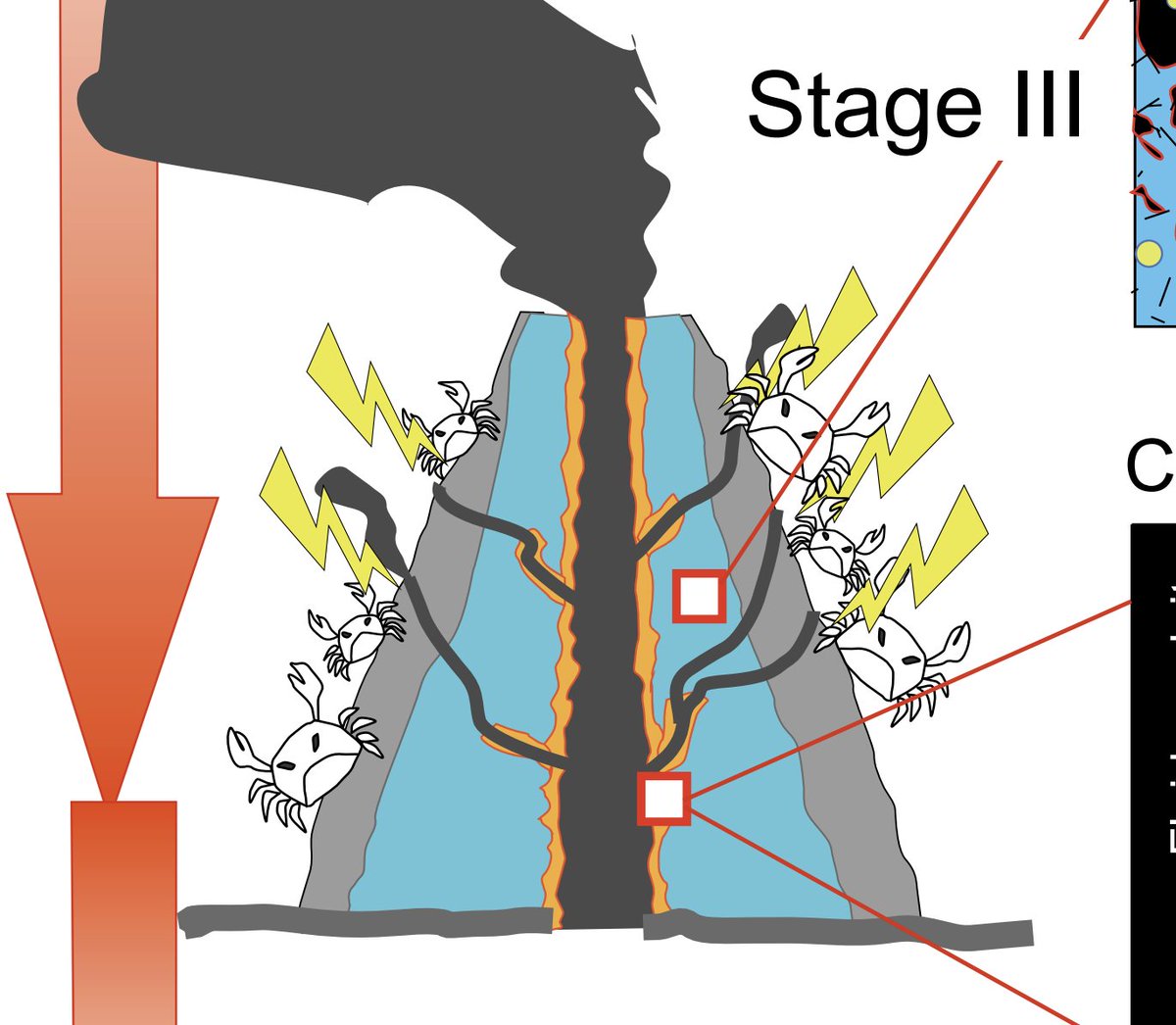 後輩が描いたカニが論文まで生き残ったwww
生命力を感じる。