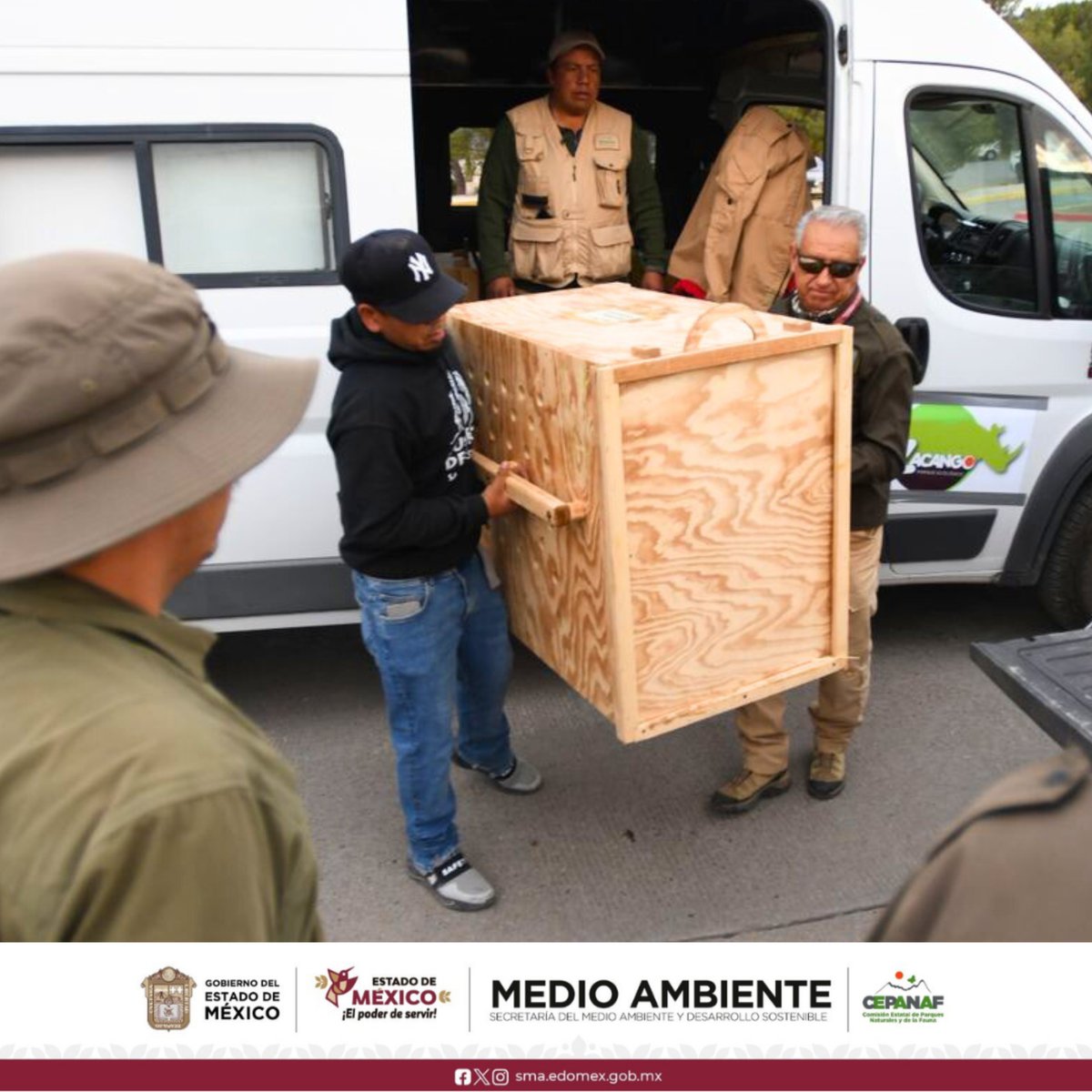 🐺💚 En el mundo solo quedan 600 lobos grises mexicanos.
Kolaval, Tanok, Nashoba y River fueron trasladados con éxito desde “El Ocotal” hasta el Museo del Desierto, como parte de un proyecto de conservación encabezado por #CEPANAF. 🐾🇲🇽🤝🇺🇸
#LoboGrisMexicano #ElPoderDeServir