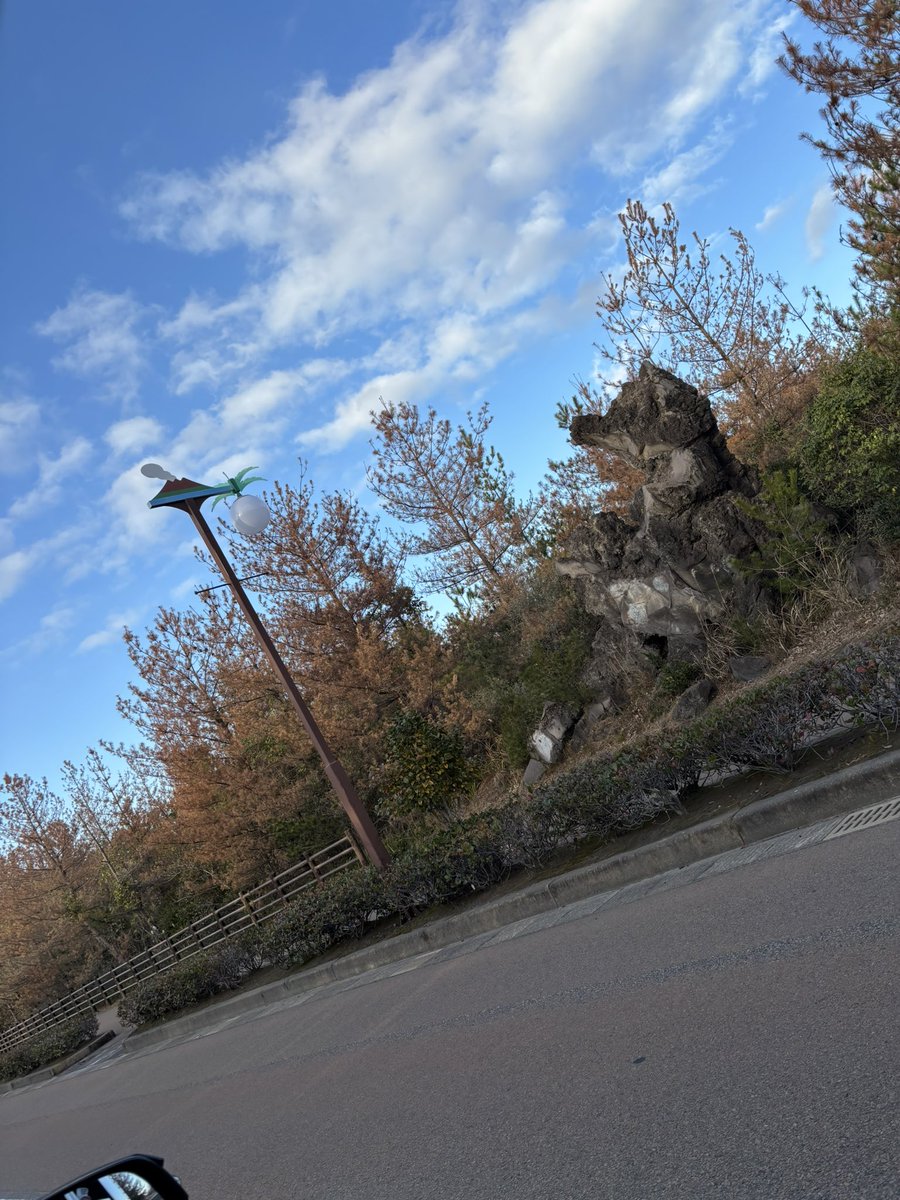 Maruki_mami's tweet photo. なかなか更新が滞ってましたが
年始は鹿児島に行ってきました🌋 https://t.co/LFM1BBpORo