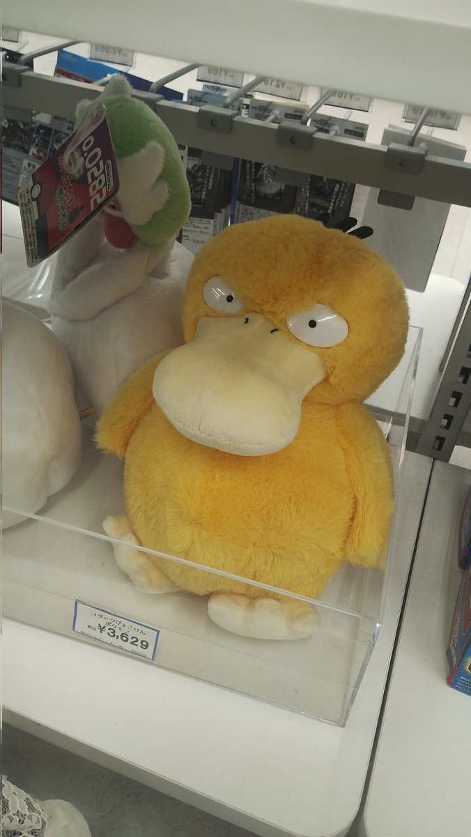 これはイオンモールトイザらスにいた鬼機嫌が悪いコダック（向かい入れた）