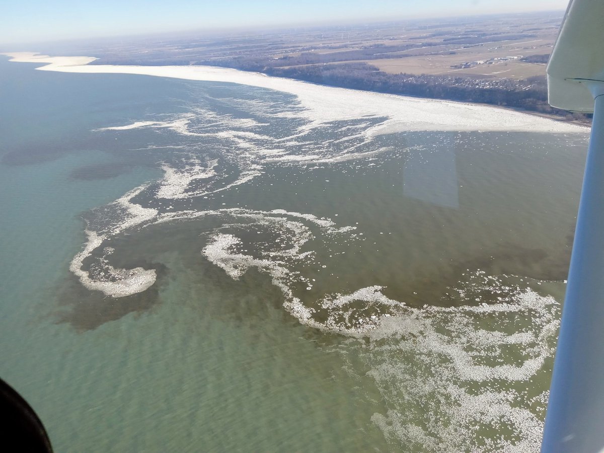 Papple Aviation tweet media