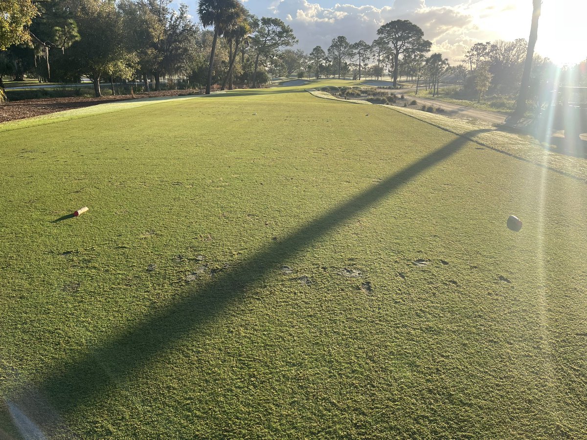 Tony Nysse tweet media