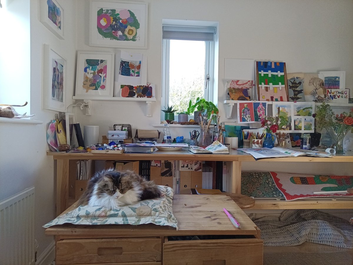 A studio is always improved by the presence of a cat