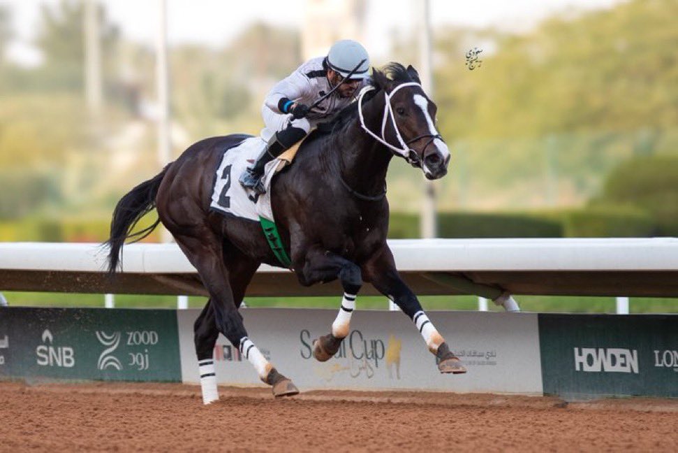 نتيجة الشوط الـ 3 الحفل ( 59 ) 
[ الخيل المبتدئة ]

الفائز:الحالم
المالك :فيصل بن محمد الجضعي القحطاني
المدرب :عبدالعزيز خالد 
الخيال :خالد الميموني 
المسافة :  1200 متر
الزمن: 1:15:25 

#مباري_الخيل
#موسم_سباقات_الرياض