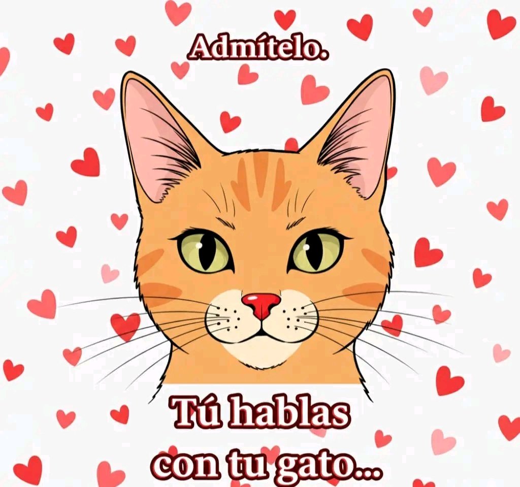 Lindos gatitos deseandote feliz cumpleaños al ritmo de la divertida canción  “Cumple Cumple Cumpleaños” de #TammyHappyHappy #musicainfantil  #cancioninfantil #forkids #paraniñosyniñas #funnydance ..., image size:1024x959