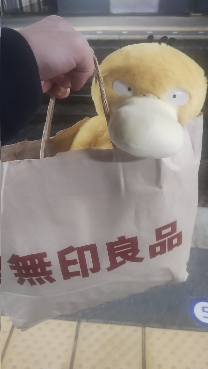 無印良品の袋では不服みたい
