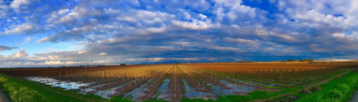 NoLongerCommon2's tweet image. Good Morning, USA 🇺🇸