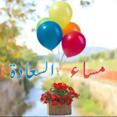 يحيى الملكي 💚💚 tweet media