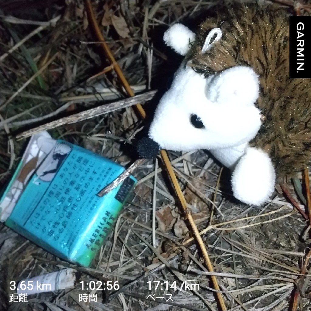 くまごろう (@Kuma_Gorou_9056) / Posts / X