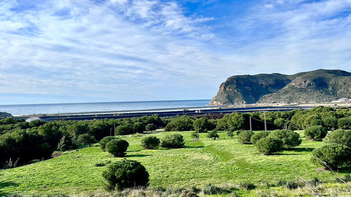 ☈ Meteosureste tweet media
