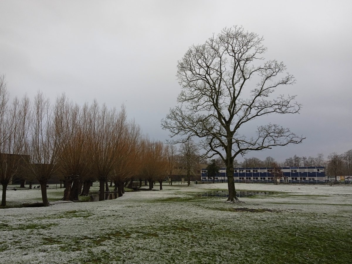 Steven Van Kerkhoven tweet media