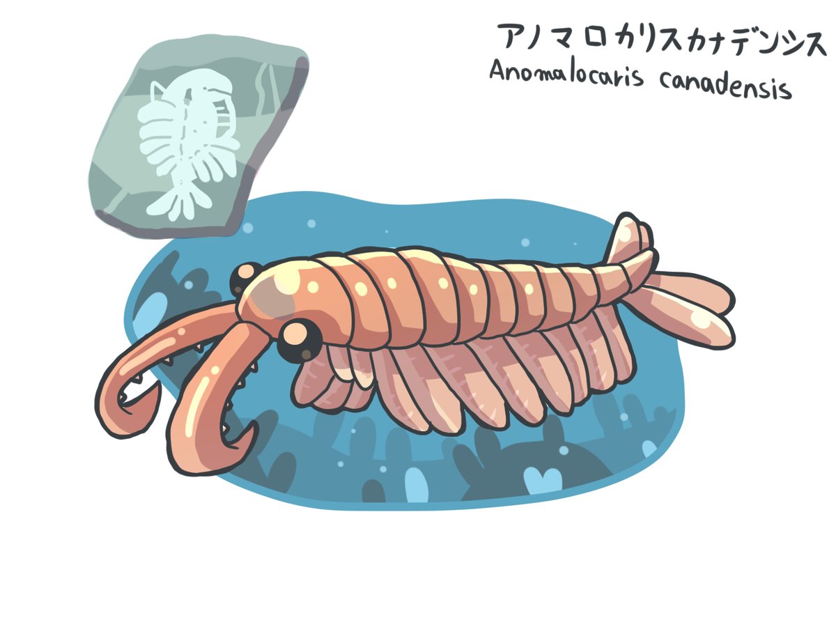 ととげ (@t_o_t_o_ge) on Twitter photo 