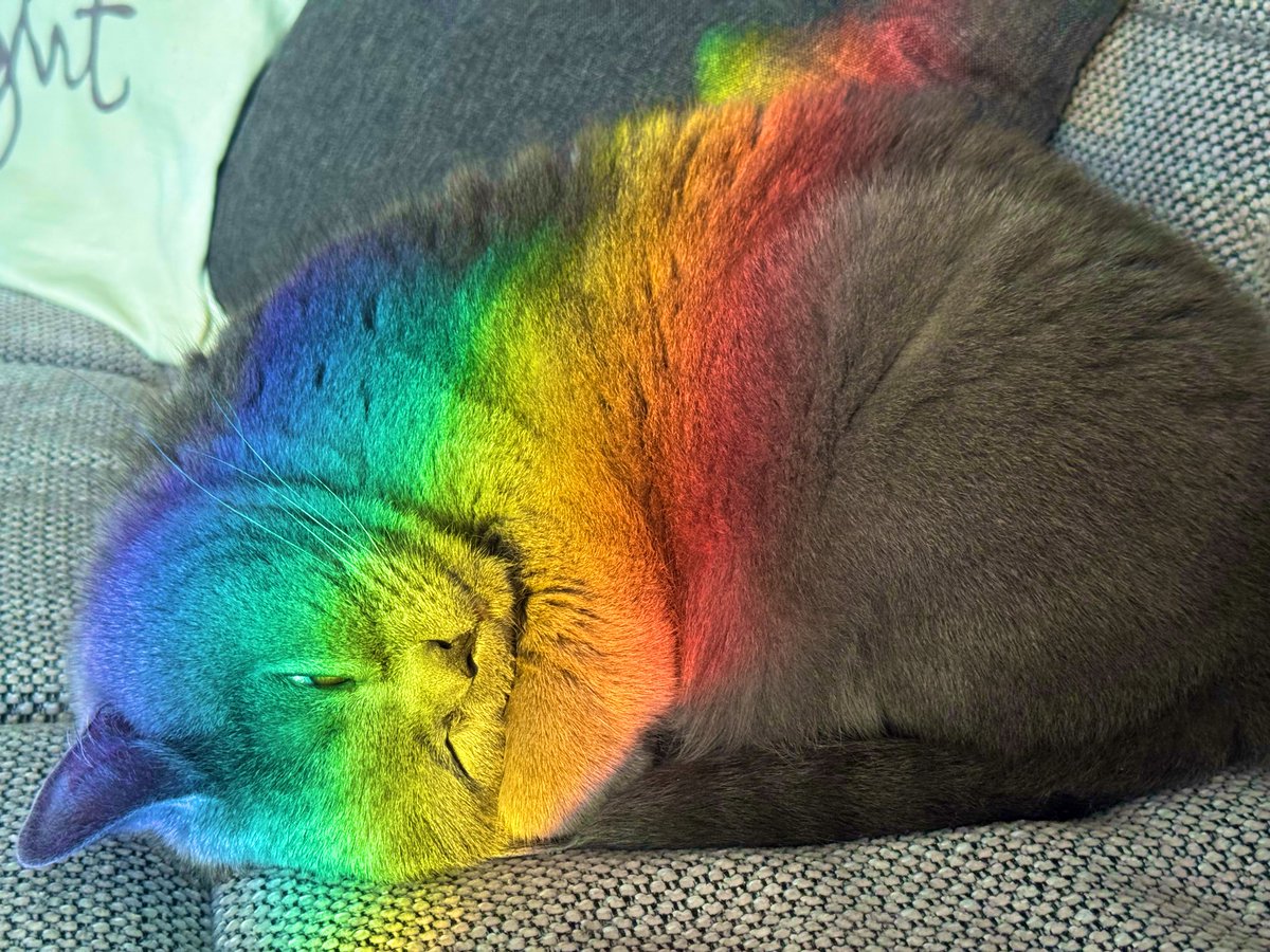 Ich hab die unfassbarste Momenraufnahme meines Lebens gemacht, glaube ich 😍