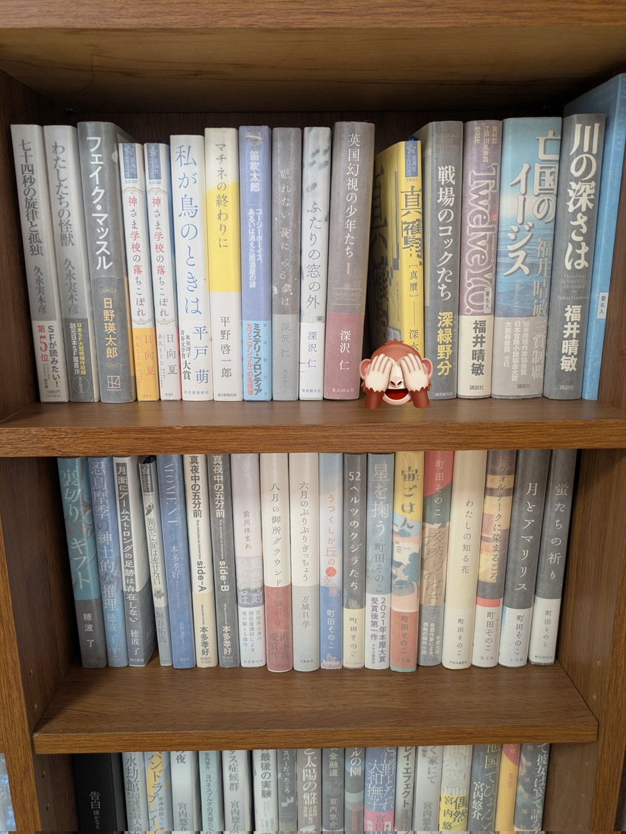 実家の本棚に英国幻視2巻が収納されるはずが年末に読み終わらず再び