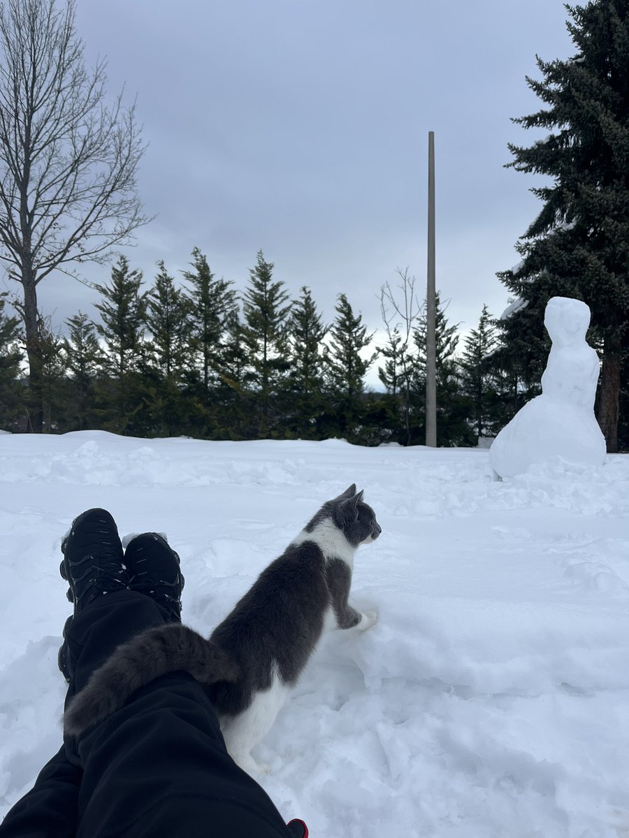 Wanna be snjezni leopard :)