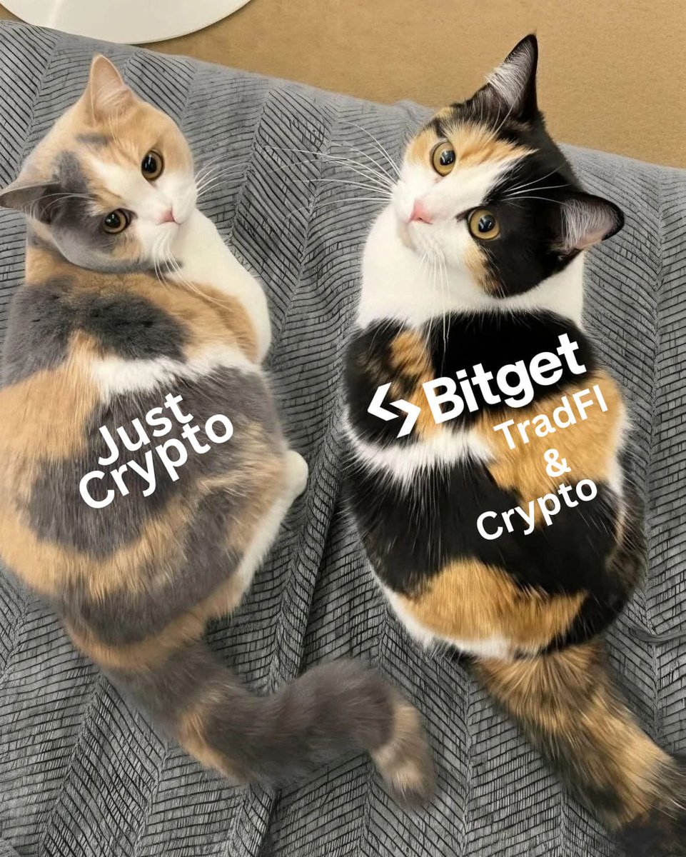 BitgetIndia's tweet image. Same idea. Wider spectrum.