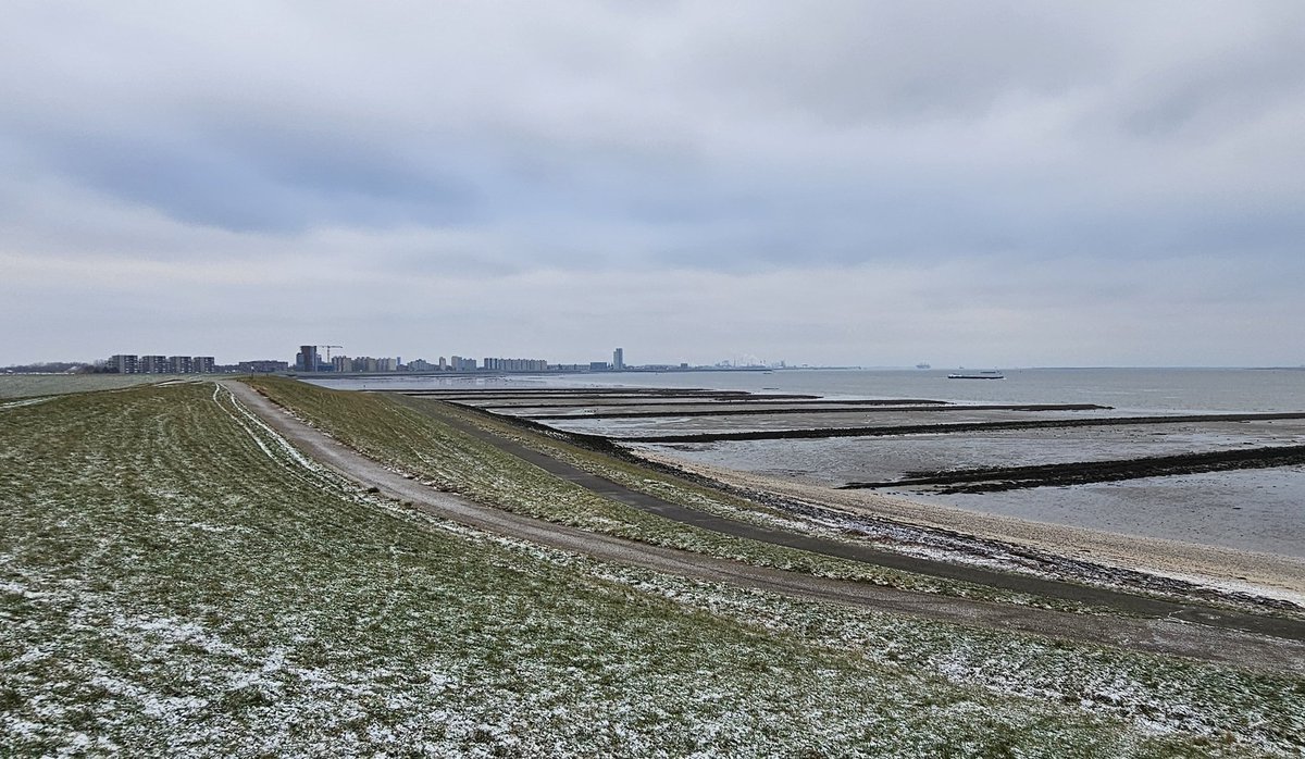 P3T3R 🦋 tweet media