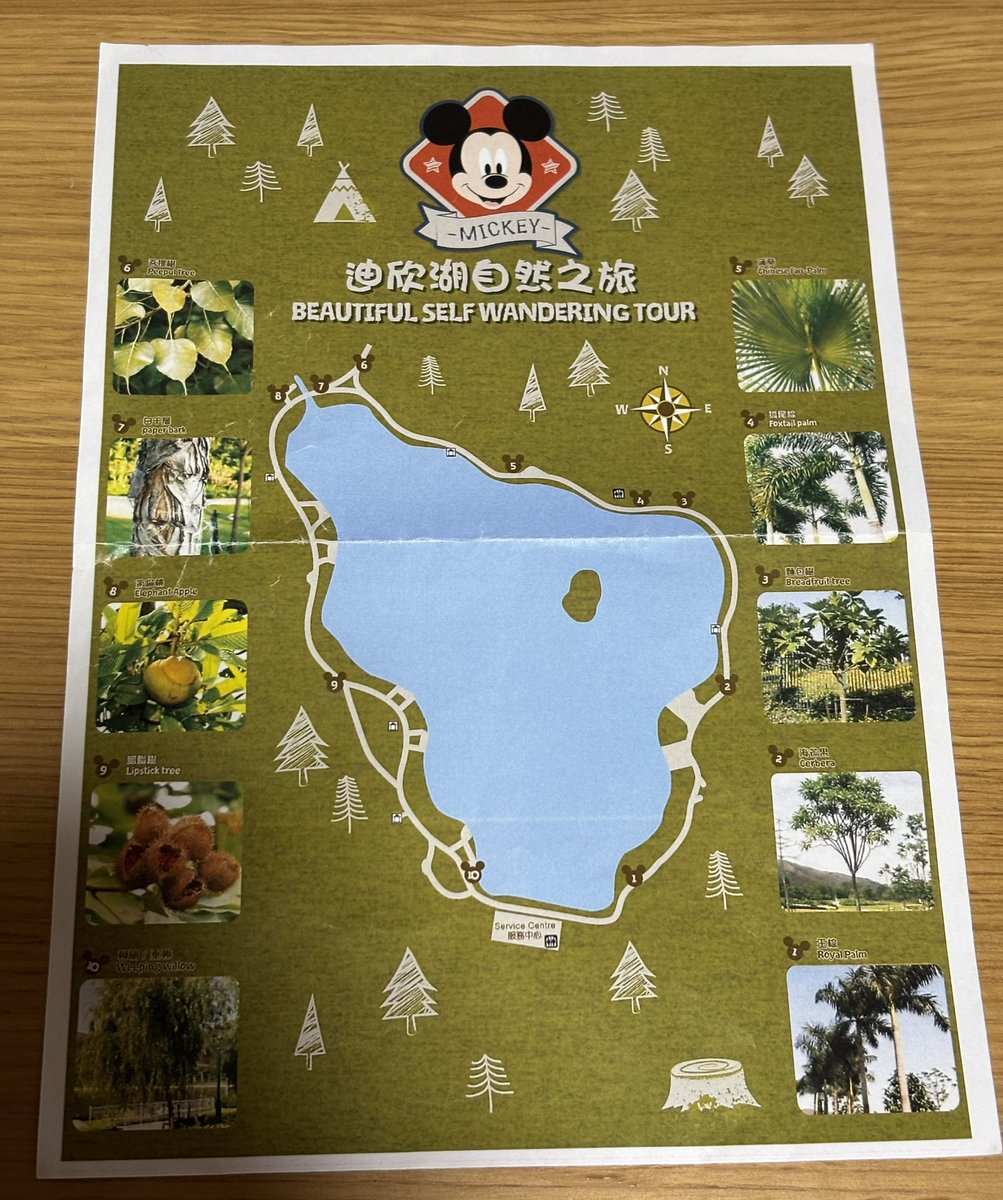 リクエスト商品2点　オルメル ML リクエスト商品2点 オルメル ML リクエスト商品2点 オルメル ML オル