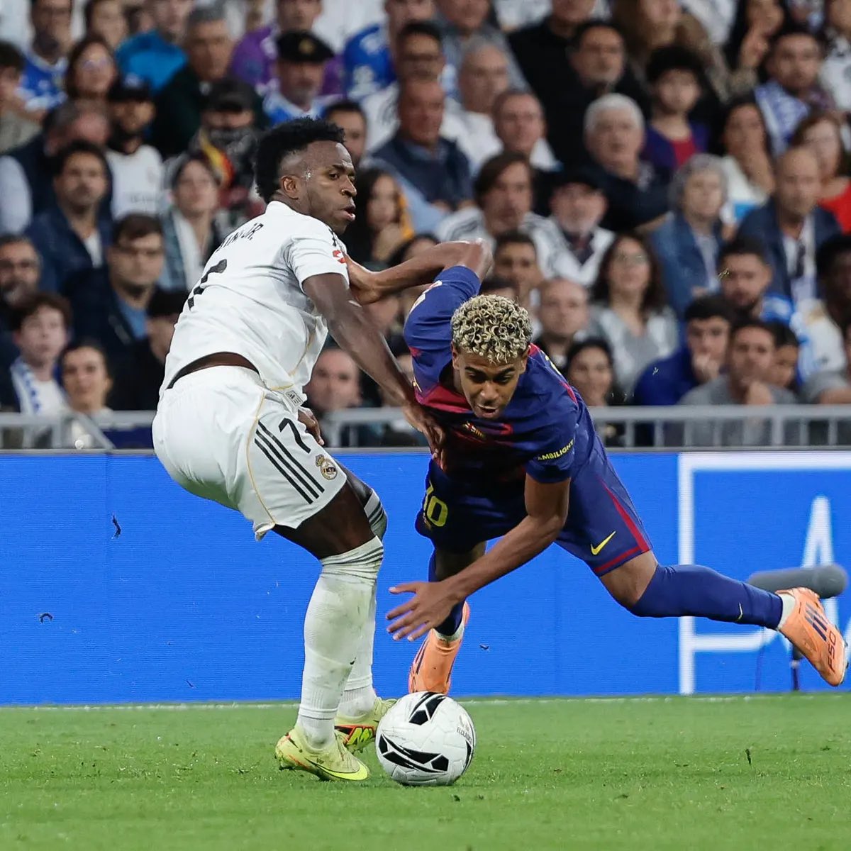 (fan) Marito 🐢 tweet media