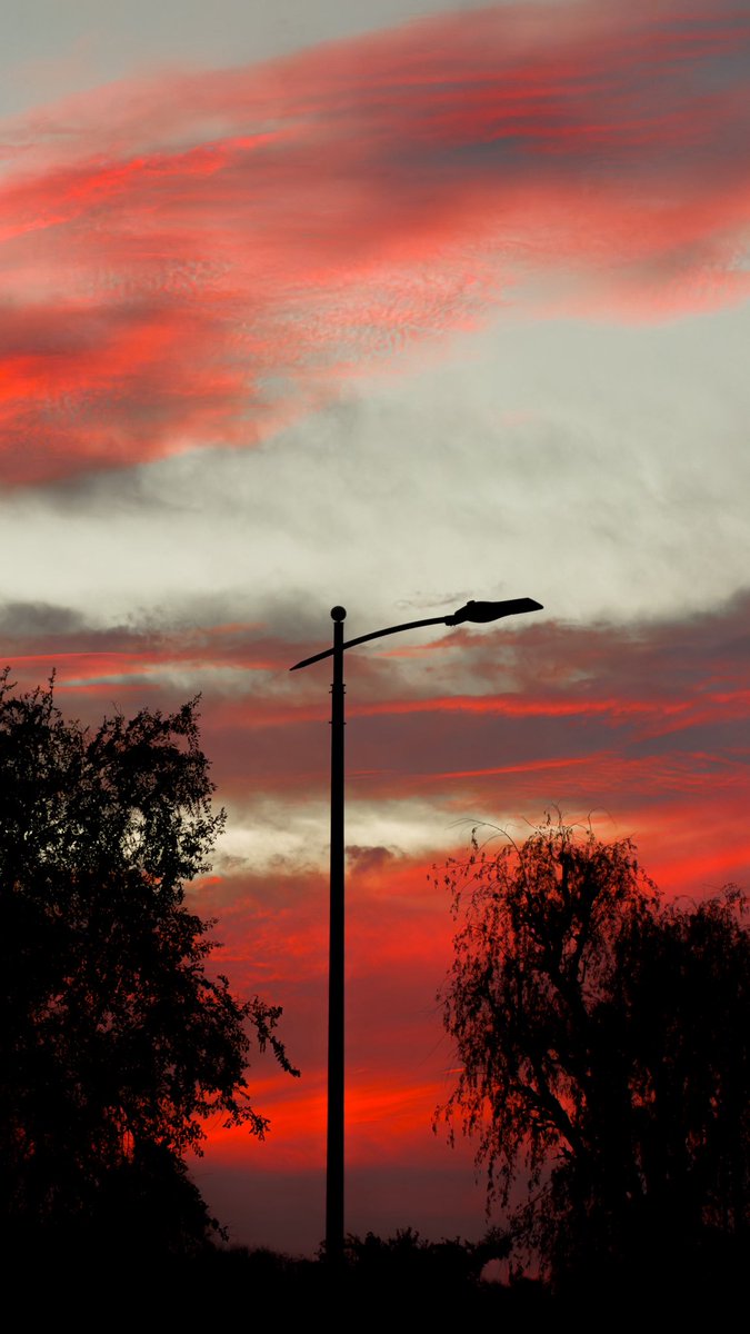 هزاع. tweet media