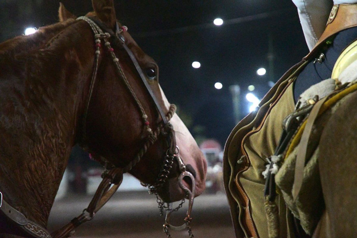 NANCY NUÑEZ tweet media