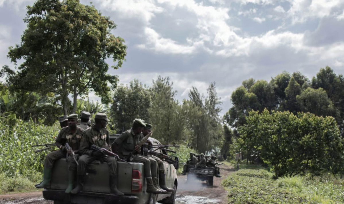 🚨🇨🇩Ce samedi 10/01/2026,
 Deux jeeps des  envahisseurs Rwandais #M23RDF ont tombé dans une embuscade de #vdpwazalendos à #Mitamba  dans le Groupement #Runingu ter. d'#uvira/non loin de la cité de #kiliba sur la route numéro 5 Runingu-kiliba-uvira.
Aucun survivant.
A suivre...