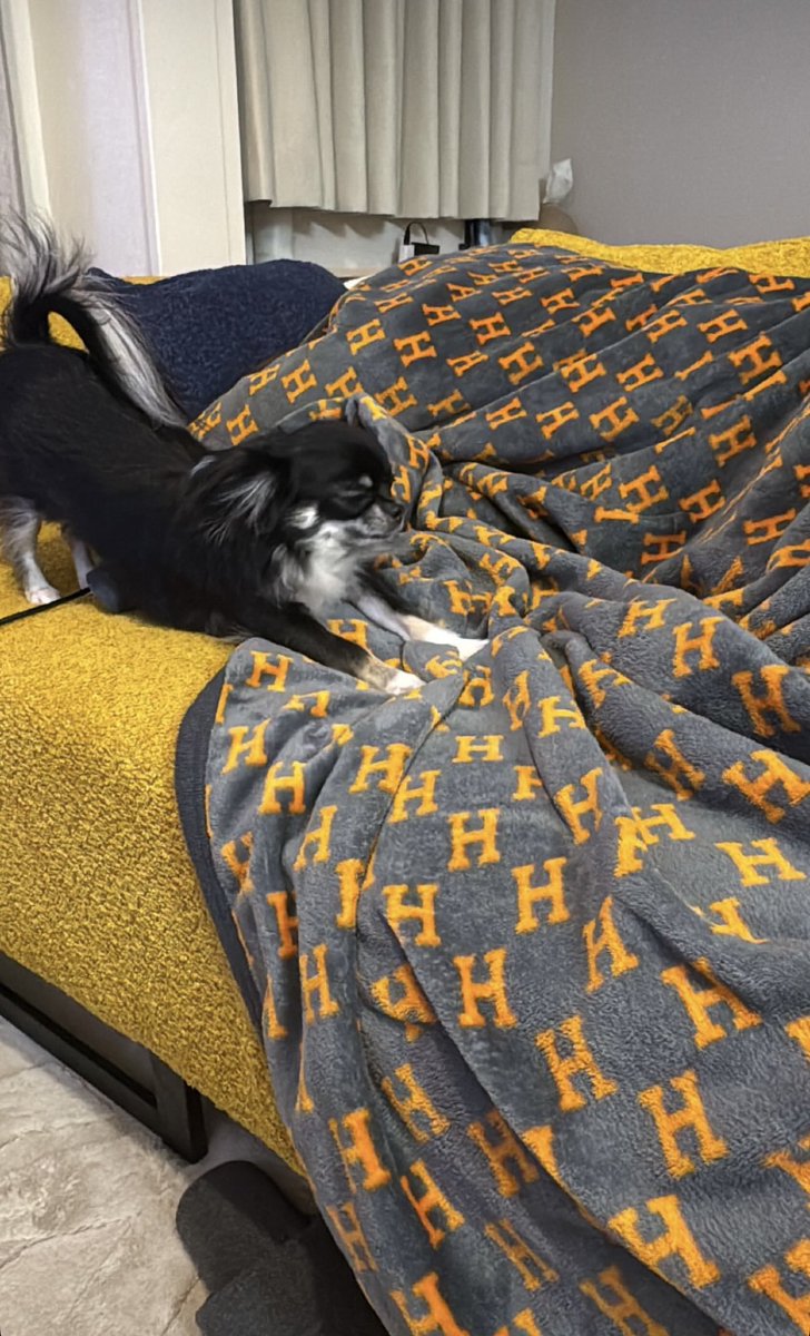 長生きしてくれよ〜