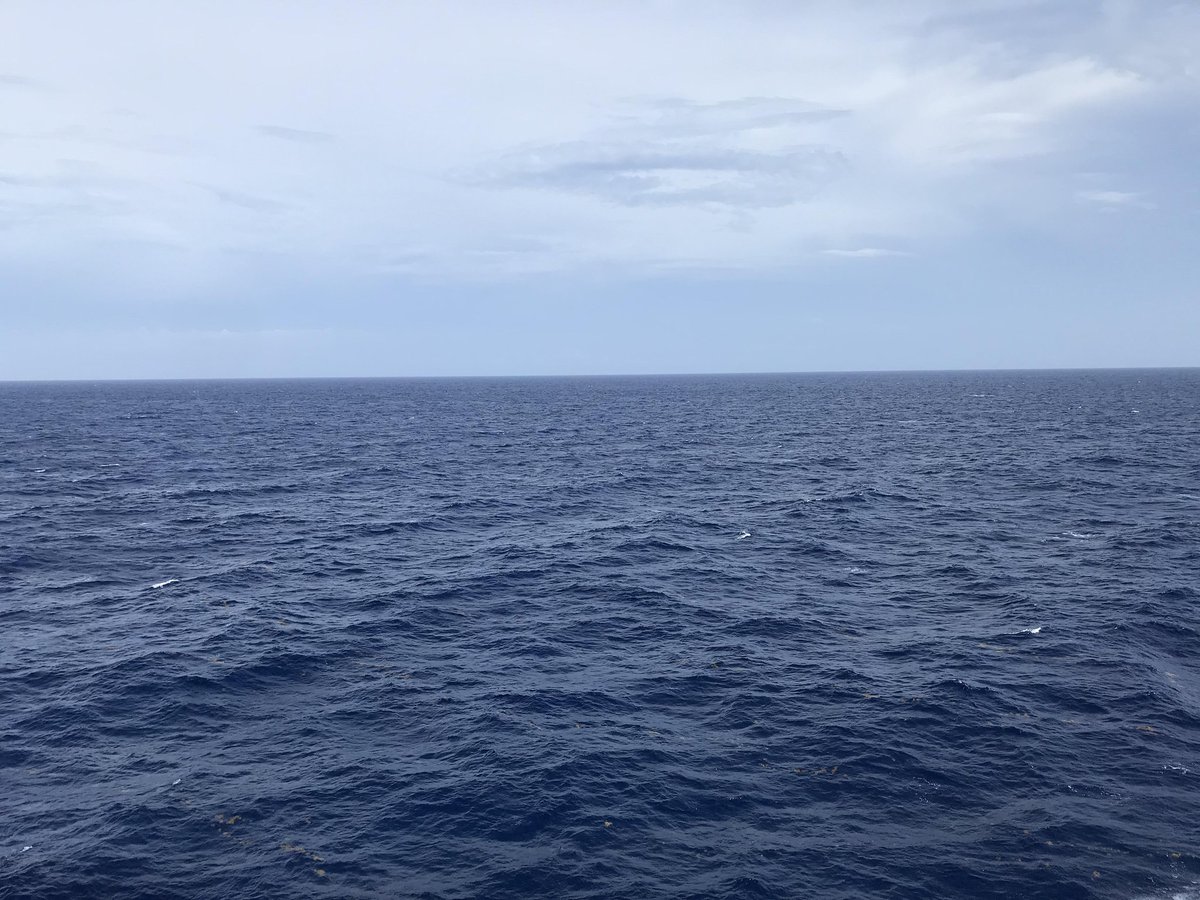 DavidMKeyes's tweet image. Live shot of Greta's flotilla steaming towards Iran to save the people