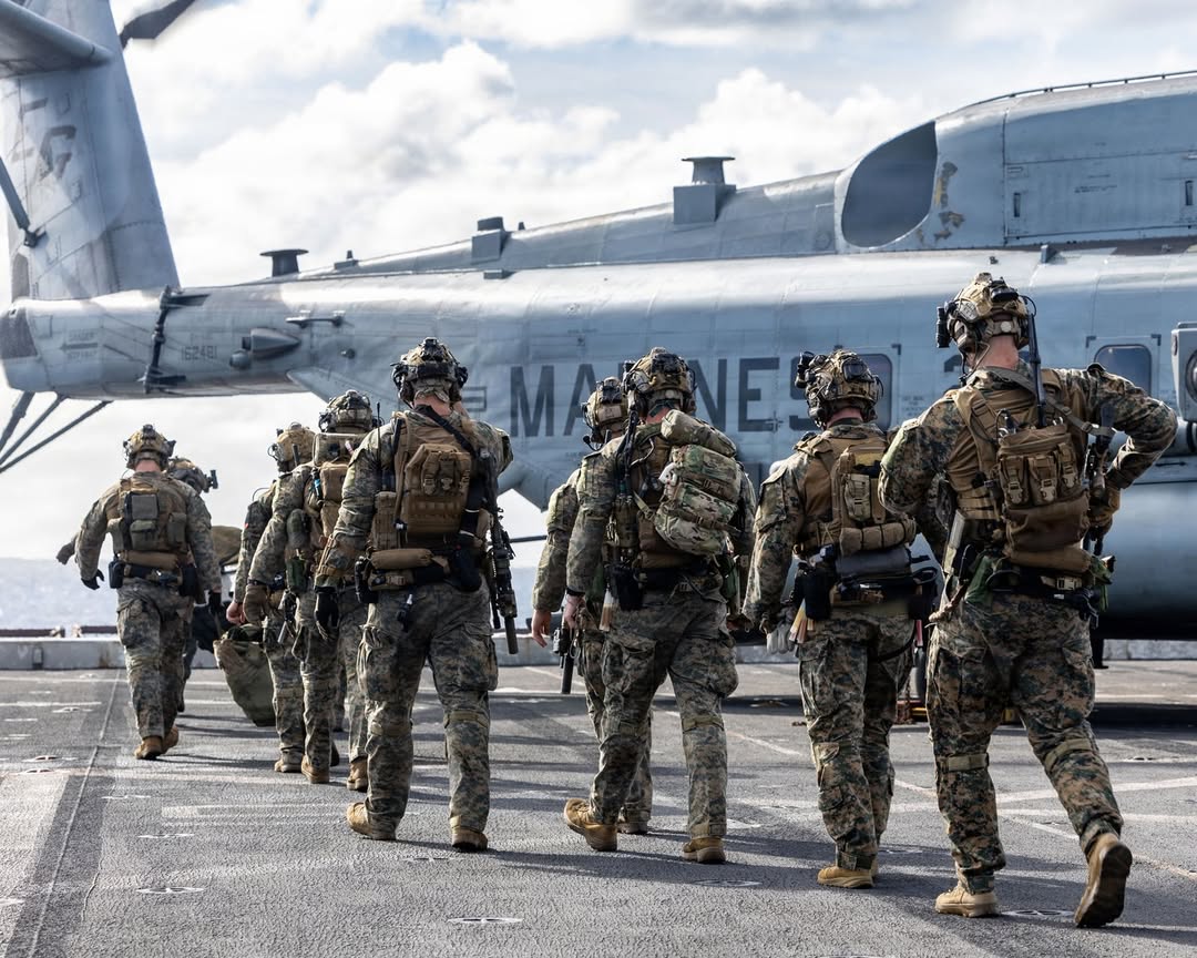 tacticalwired 🏴‍☠️ tweet media