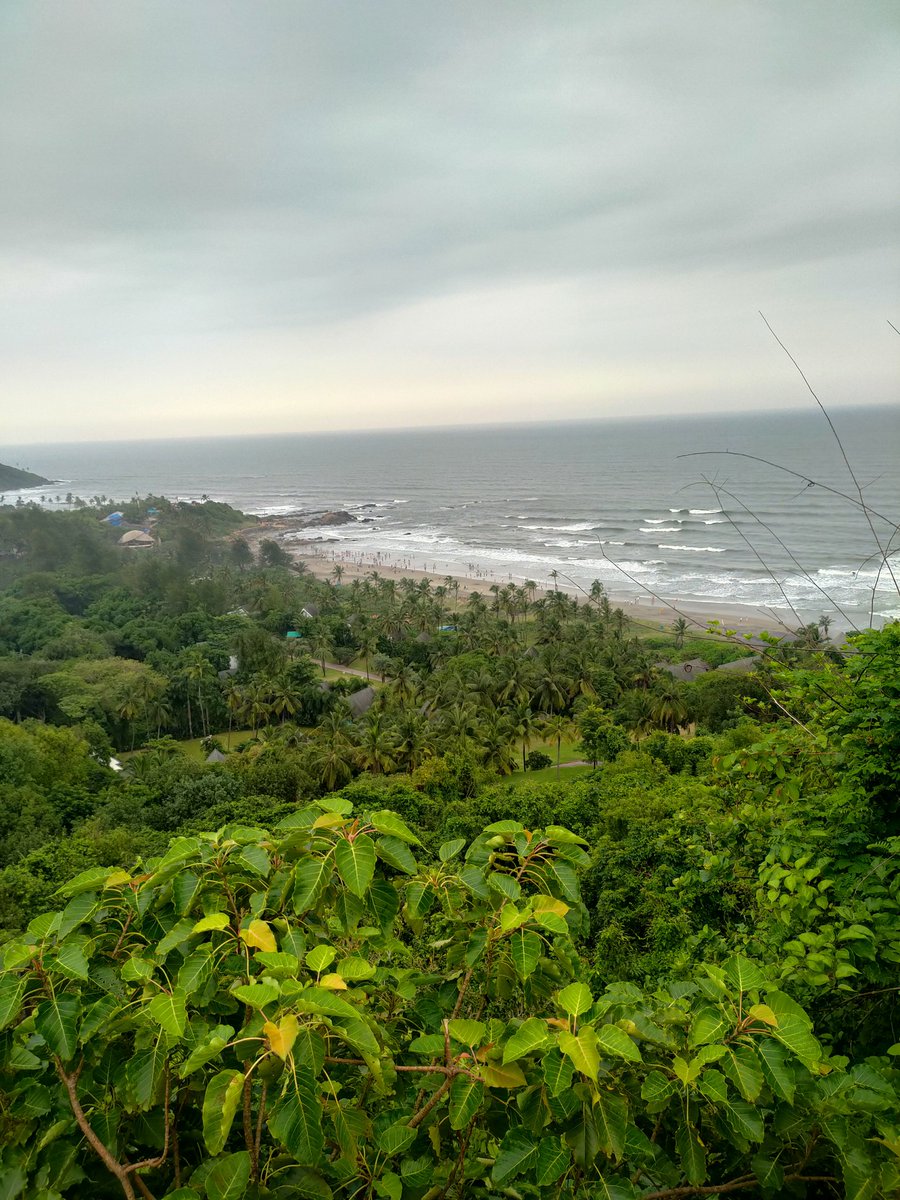 natureloopin's tweet photo. Best Place to visit in winter

#goa https://t.co/eQsfTy0e8T