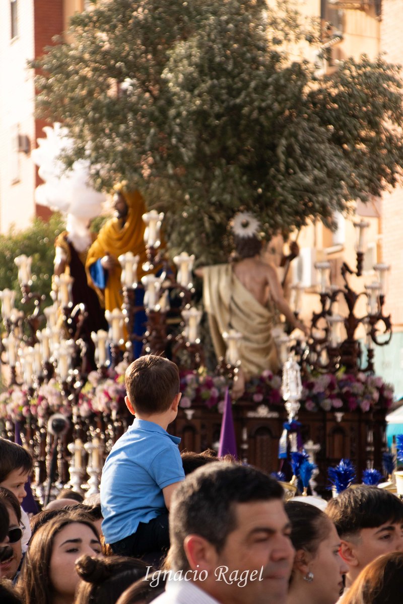 Lo que uno ama en la infancia se queda en el corazón para siempre

<a href="/HdadPinoMontano/">Hdad. Pino Montano</a>