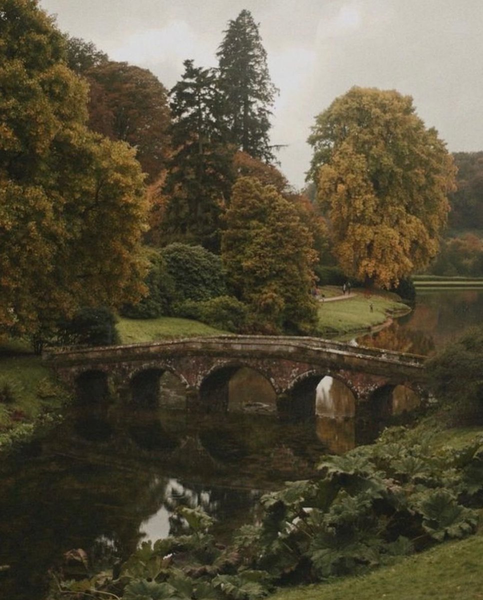 moontides_'s tweet image. In my mind, i’m here