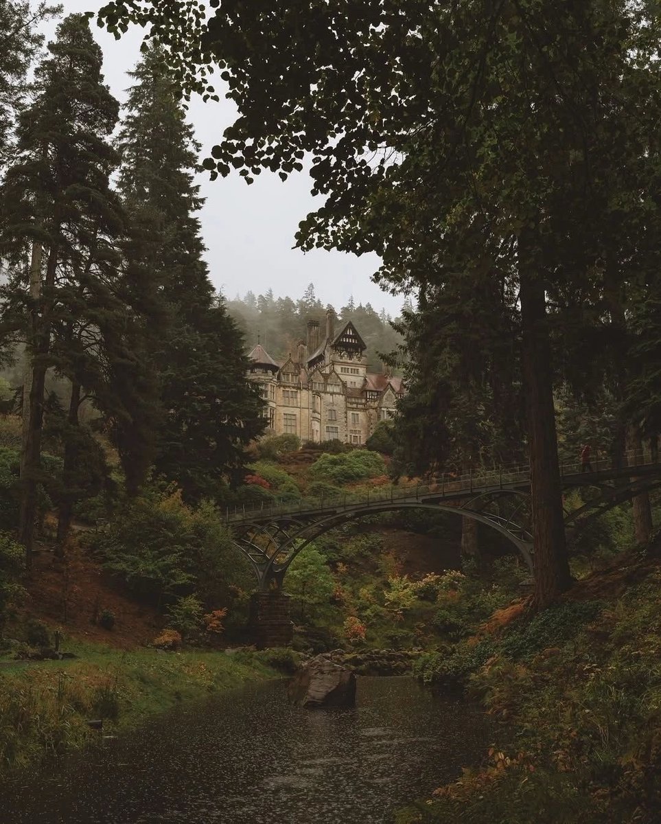 moontides_'s tweet image. In my mind, i’m here