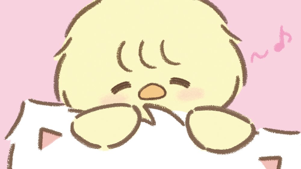 🐱｛今度こそ