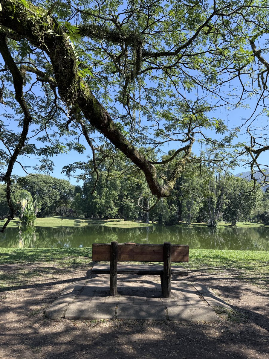 Eli Rahman 🍉 tweet media