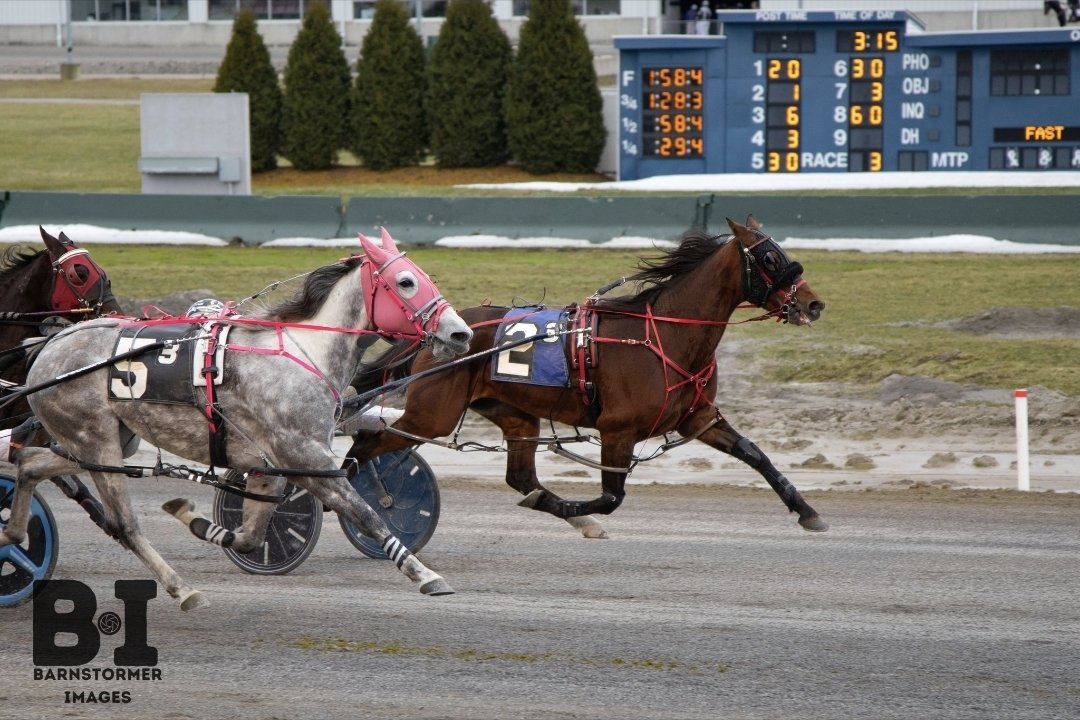 Buffalo Raceway tweet media