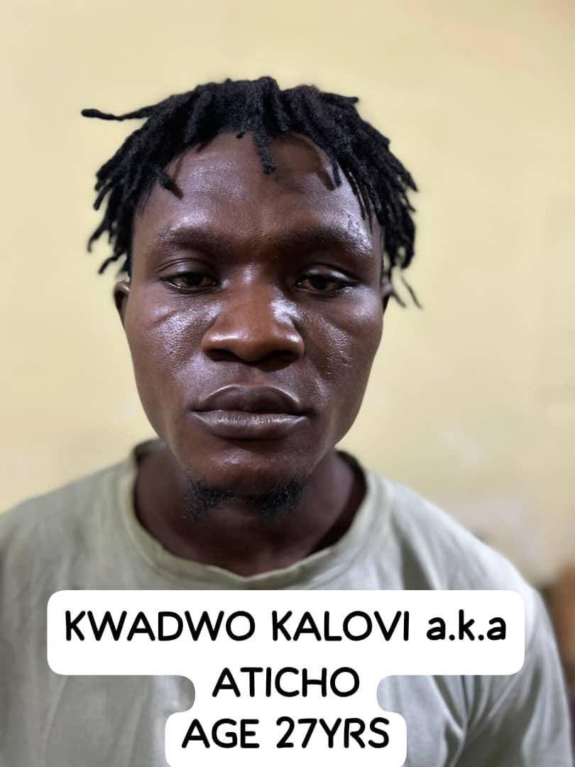 mistadela's tweet image. A splendid work done by the HE Jane Naana Opoku Agyeman @NJOAgyemang led Ghana Police @GhPoliceService .

There is no more room for criminals.