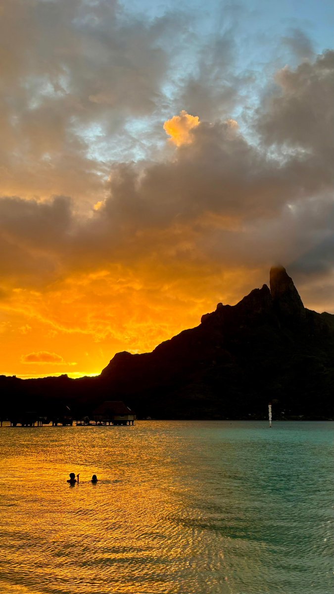 TheBrightonBard tweet media