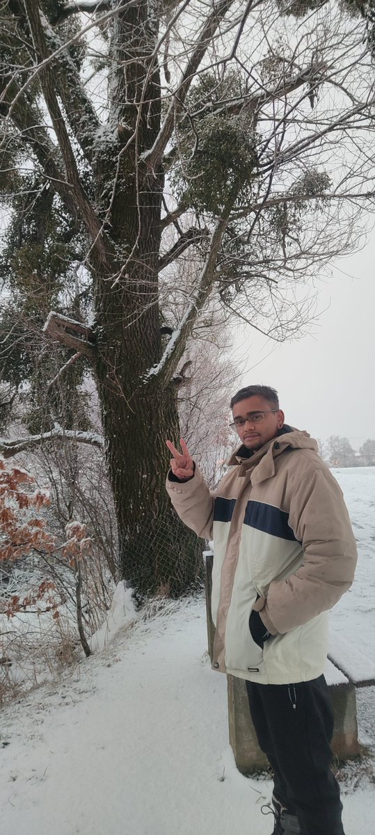 Everlong 🌻 tweet media