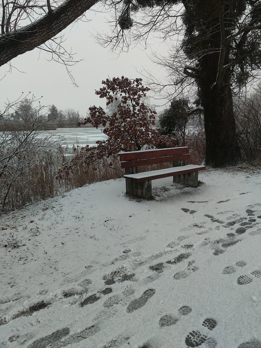 Everlong 🌻 tweet media