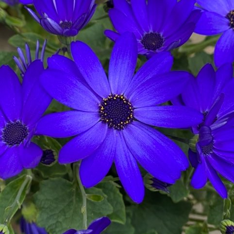 ひろみ 🦋 (@u90pVKxMdO9ffre) / Posts / X