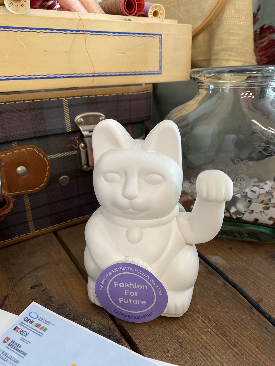 Sonia Zuccaro tweet media