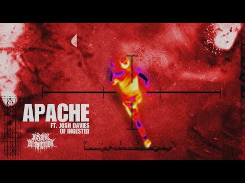 Distorted Sound tweet media