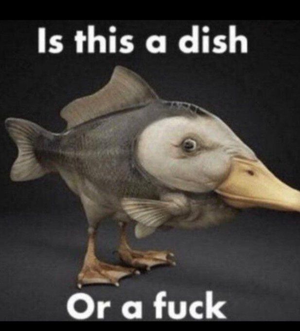 MemesToSave's tweet image. 