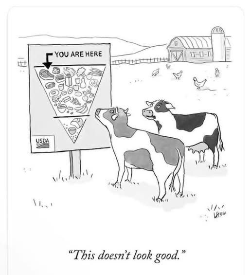 THE KETO KID tweet media