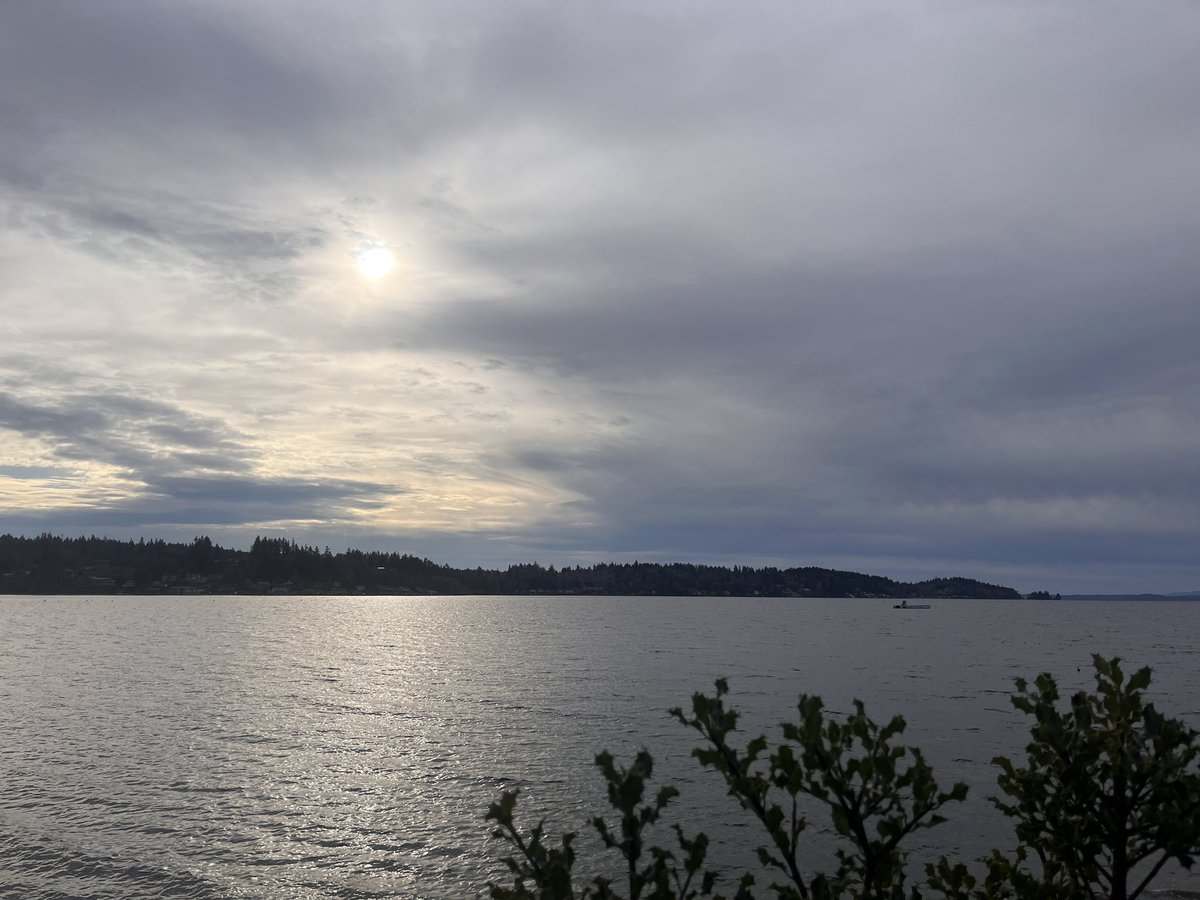 BeebZone's tweet image. Wonderful Birthday gift. It's excellent how it plays on true hardware. 
youtu.be/QTZ1Tm8T-QI?si…